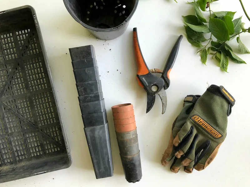 Garden twine, plant ties and labels